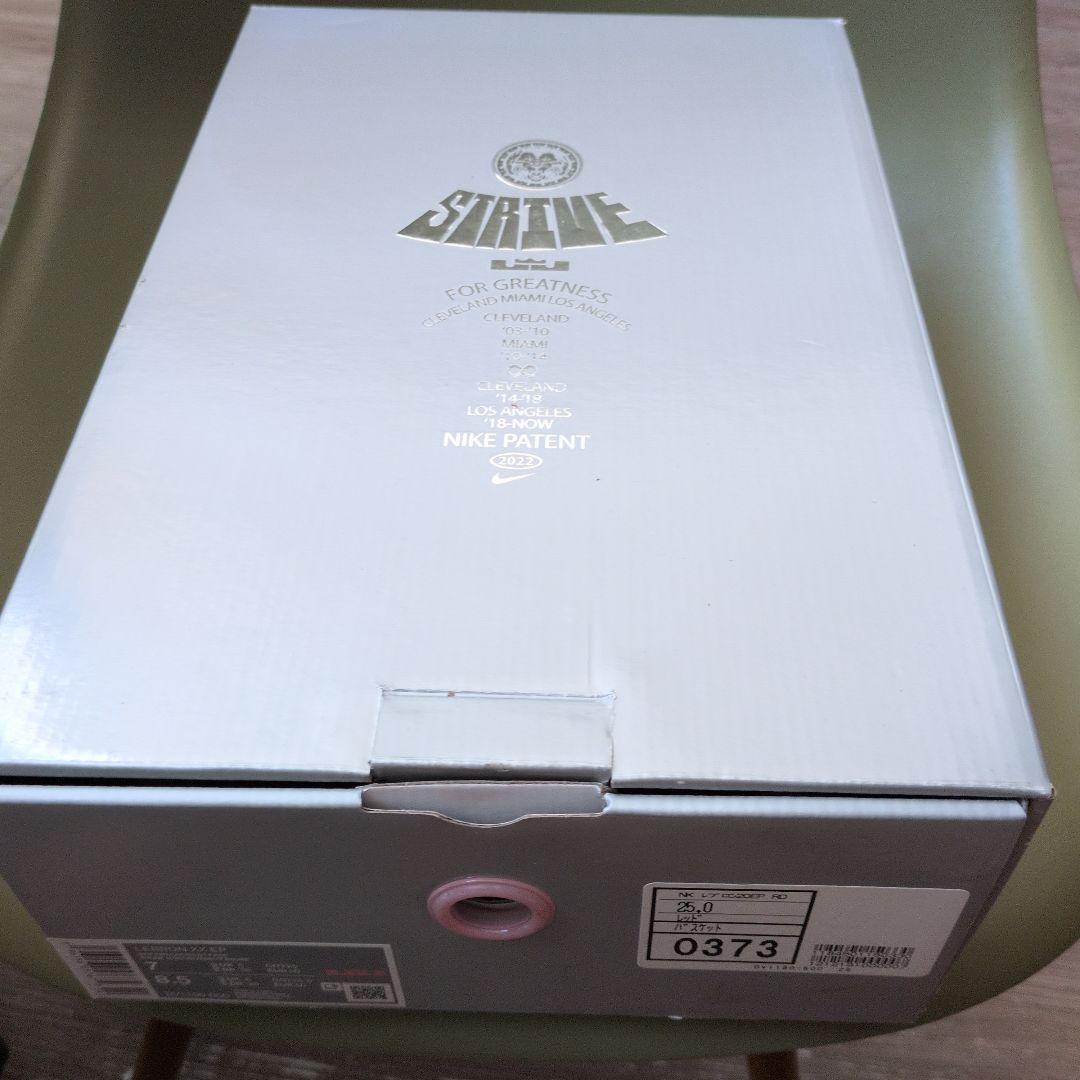 NIKE レブロン20リバプール 25cm